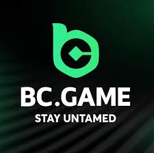Explore the BC.Game Mirror Site Your Gateway to Online Gaming